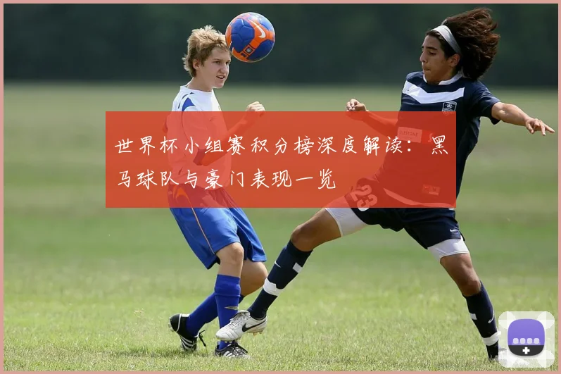 世界杯小组赛积分榜深度解读:黑马球队与豪门表现一览